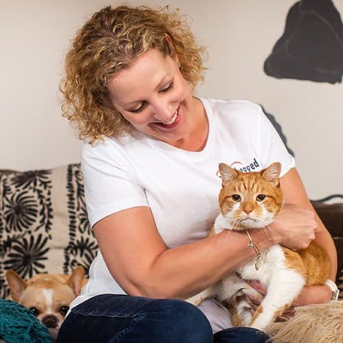 A woman caring for an orange and white cat, from the 4-Legged Kids website