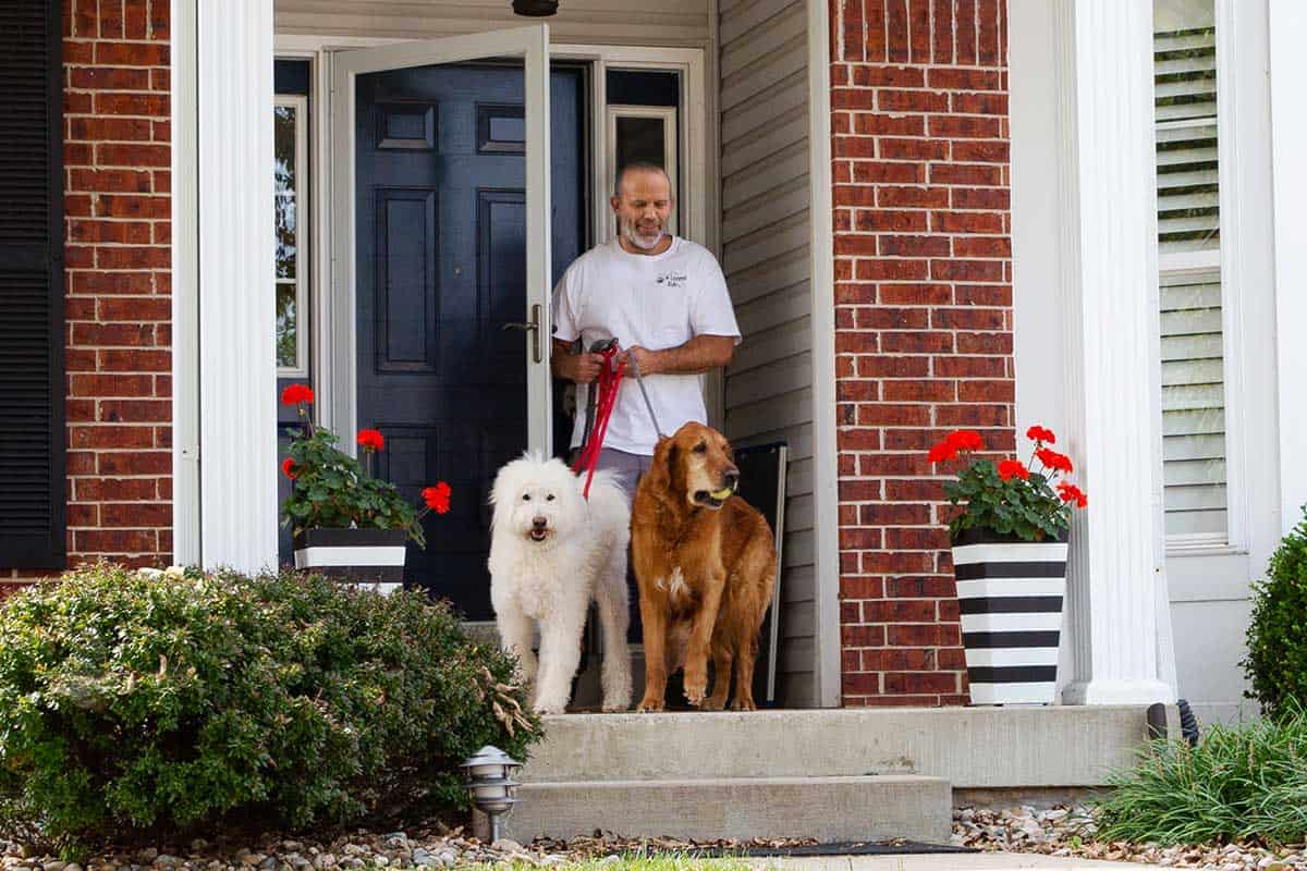 Dog enjoying a neighborhood walk, from the 4-Legged Kids website